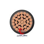 سطح مقطع سیم زمینی نیمه افشان خراسان افشارنژاد