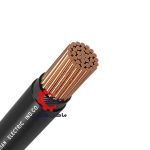 سیم زمینی نیمه افشان خراسان افشارنژاد