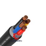 کابل افشان سه و نیم رشته خراسان افشارنژاد